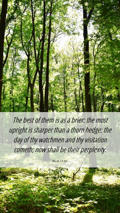 Picture 06 - Micah 7:4 KJV Mobile Phone Wallpaper - The best of them is as a brier: the most upright - Mobile Bible Verse Wallpaper