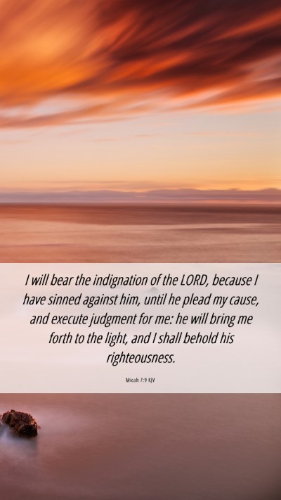 Picture 06 - Micah 7:9 KJV Mobile Phone Wallpaper - I will bear the indignation of the LORD, because - Mobile Bible Verse Wallpaper