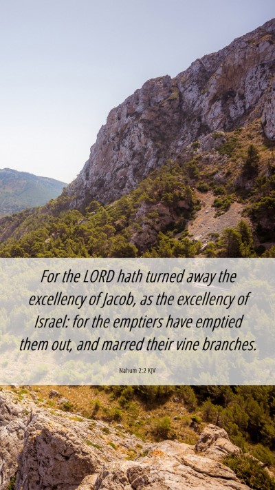 Picture 06 - Nahum 2:2 KJV Mobile Phone Wallpaper - For the LORD hath turned away the excellency of - Mobile Bible Verse Wallpaper