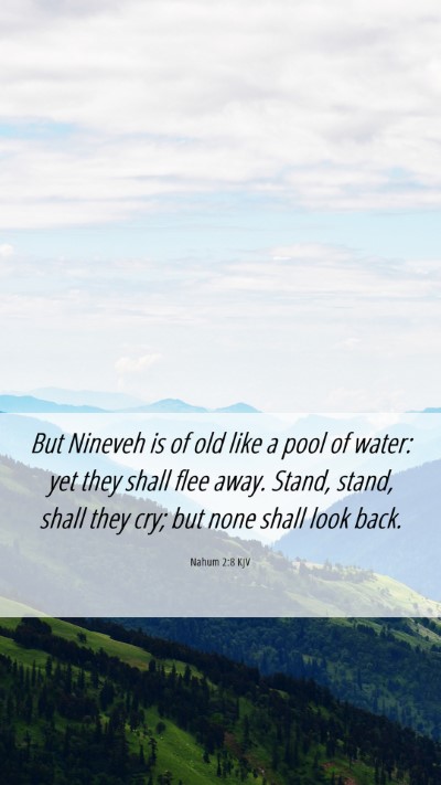 Picture 06 - Nahum 2:8 KJV Mobile Phone Wallpaper - But Nineveh is of old like a pool of water: yet - Mobile Bible Verse Wallpaper