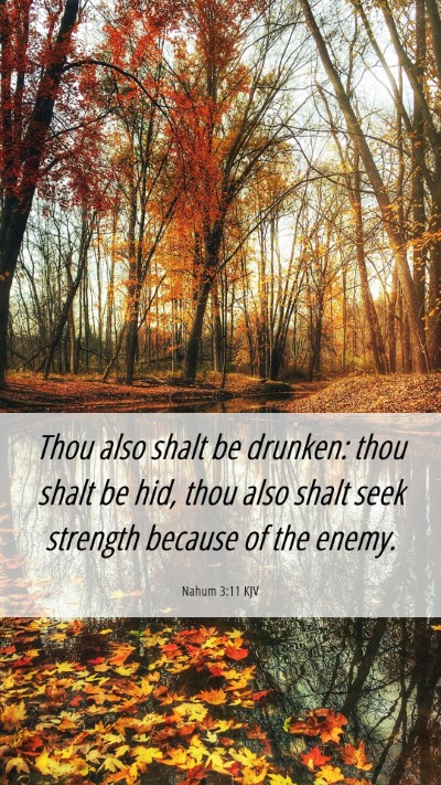 Picture 06 - Nahum 3:11 KJV Mobile Phone Wallpaper - Thou also shalt be drunken: thou shalt be hid, - Mobile Bible Verse Wallpaper