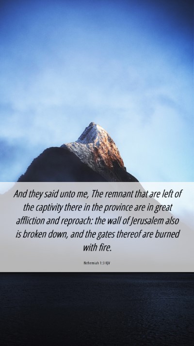 Picture 06 - Nehemiah 1:3 KJV Mobile Phone Wallpaper - And they said unto me, The remnant that are left - Mobile Bible Verse Wallpaper