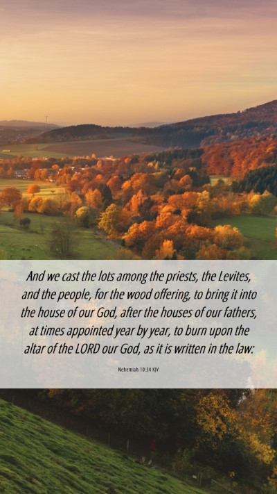 Picture 06 - Nehemiah 10:34 KJV Mobile Phone Wallpaper - And we cast the lots among the priests, the - Mobile Bible Verse Wallpaper