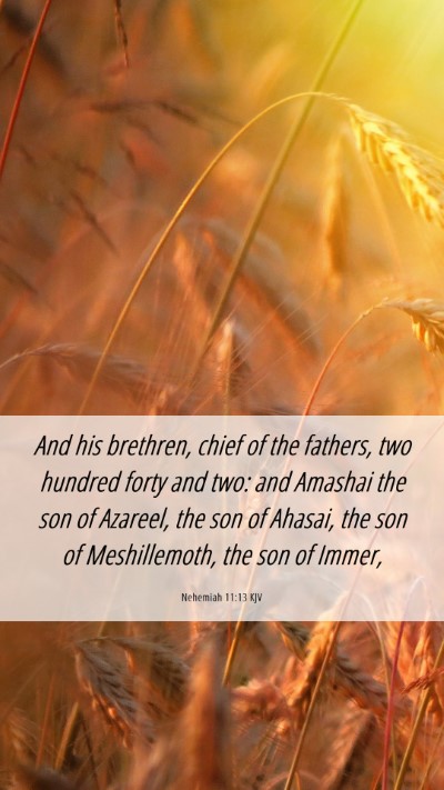 Picture 06 - Nehemiah 11:13 KJV Mobile Phone Wallpaper - And his brethren, chief of the fathers, two - Mobile Bible Verse Wallpaper