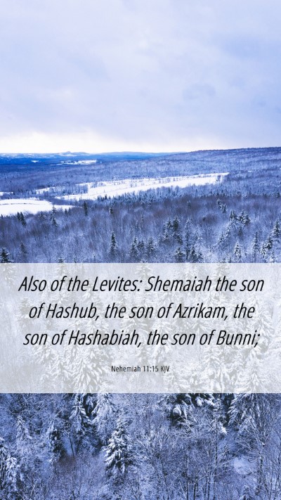 Picture 06 - Nehemiah 11:15 KJV Mobile Phone Wallpaper - Also of the Levites: Shemaiah the son of Hashub, - Mobile Bible Verse Wallpaper