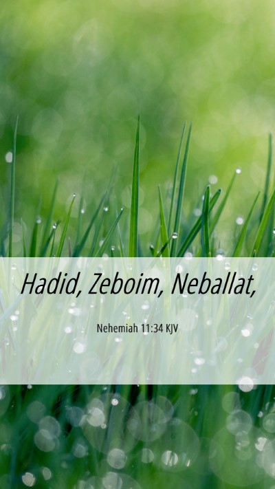 Picture 06 - Nehemiah 11:34 KJV Mobile Phone Wallpaper - Hadid, Zeboim, - Mobile Bible Verse Wallpaper