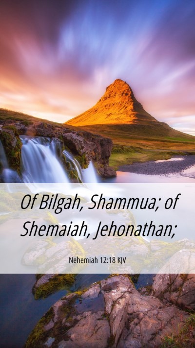 Picture 06 - Nehemiah 12:18 KJV Mobile Phone Wallpaper - Of Bilgah, Shammua; of Shemaiah, - Mobile Bible Verse Wallpaper