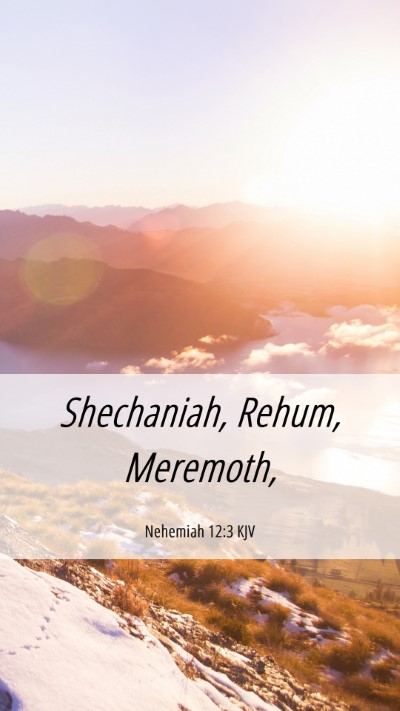Picture 06 - Nehemiah 12:3 KJV Mobile Phone Wallpaper - Shechaniah, Rehum, - Mobile Bible Verse Wallpaper