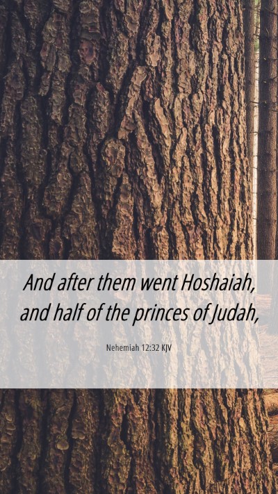 Picture 06 - Nehemiah 12:32 KJV Mobile Phone Wallpaper - And after them went Hoshaiah, and half of the - Mobile Bible Verse Wallpaper