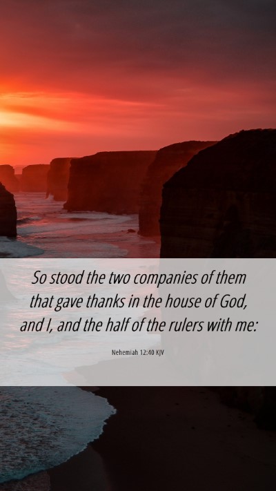 Picture 06 - Nehemiah 12:40 KJV Mobile Phone Wallpaper - So stood the two companies of them that gave - Mobile Bible Verse Wallpaper