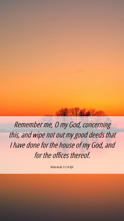 Picture 06 - Nehemiah 13:14 KJV Mobile Phone Wallpaper - Remember me, O my God, concerning this, and wipe - Mobile Bible Verse Wallpaper