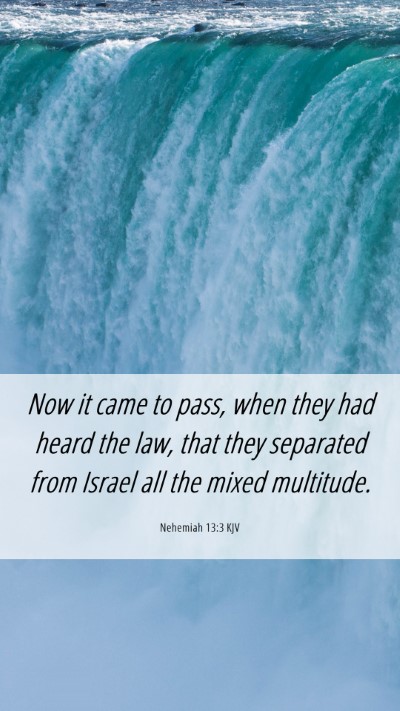 Picture 06 - Nehemiah 13:3 KJV Mobile Phone Wallpaper - Now it came to pass, when they had heard the law, - Mobile Bible Verse Wallpaper