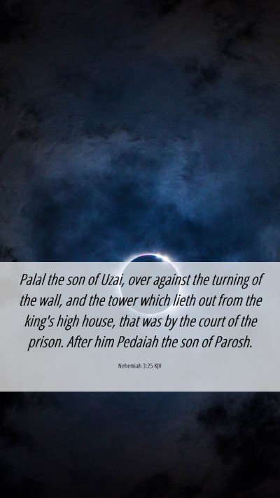 Picture 06 - Nehemiah 3:25 KJV Mobile Phone Wallpaper - Palal the son of Uzai, over against the turning - Mobile Bible Verse Wallpaper