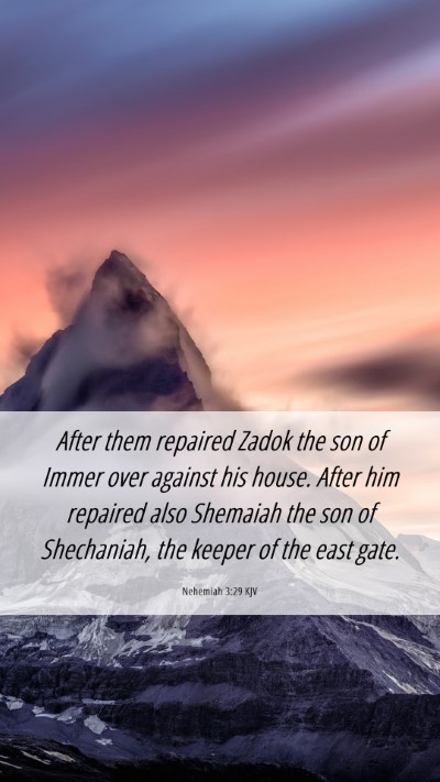Picture 06 - Nehemiah 3:29 KJV Mobile Phone Wallpaper - After them repaired Zadok the son of Immer over - Mobile Bible Verse Wallpaper