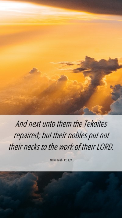 Picture 06 - Nehemiah 3:5 KJV Mobile Phone Wallpaper - And next unto them the Tekoites repaired; but - Mobile Bible Verse Wallpaper