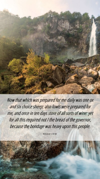 Picture 06 - Nehemiah 5:18 KJV Mobile Phone Wallpaper - Now that which was prepared for me daily was one - Mobile Bible Verse Wallpaper