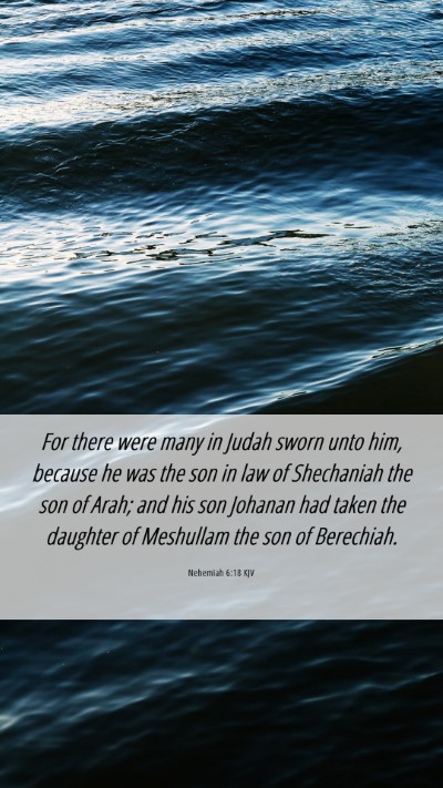 Picture 06 - Nehemiah 6:18 KJV Mobile Phone Wallpaper - For there were many in Judah sworn unto him, - Mobile Bible Verse Wallpaper