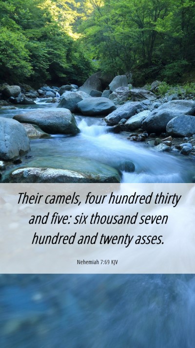 Picture 06 - Nehemiah 7:69 KJV Mobile Phone Wallpaper - Their camels, four hundred thirty and five: six - Mobile Bible Verse Wallpaper