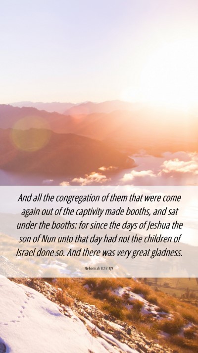 Picture 06 - Nehemiah 8:17 KJV Mobile Phone Wallpaper - And all the congregation of them that were come - Mobile Bible Verse Wallpaper