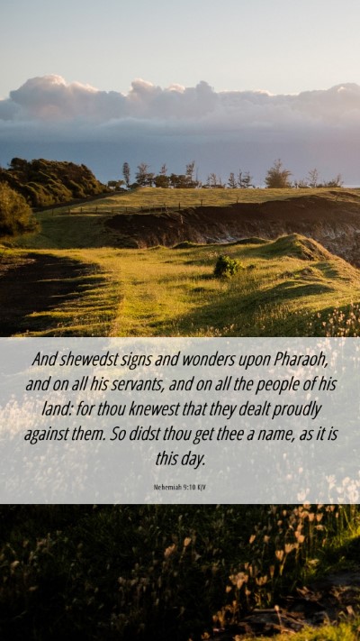 Picture 06 - Nehemiah 9:10 KJV Mobile Phone Wallpaper - And shewedst signs and wonders upon Pharaoh, and - Mobile Bible Verse Wallpaper