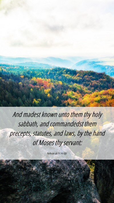 Picture 06 - Nehemiah 9:14 KJV Mobile Phone Wallpaper - And madest known unto them thy holy sabbath, and - Mobile Bible Verse Wallpaper