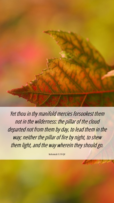 Picture 06 - Nehemiah 9:19 KJV Mobile Phone Wallpaper - Yet thou in thy manifold mercies forsookest them - Mobile Bible Verse Wallpaper