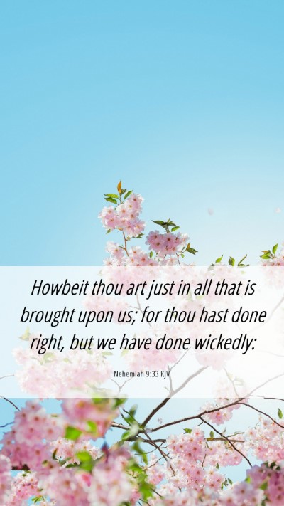 Picture 06 - Nehemiah 9:33 KJV Mobile Phone Wallpaper - Howbeit thou art just in all that is brought upon - Mobile Bible Verse Wallpaper
