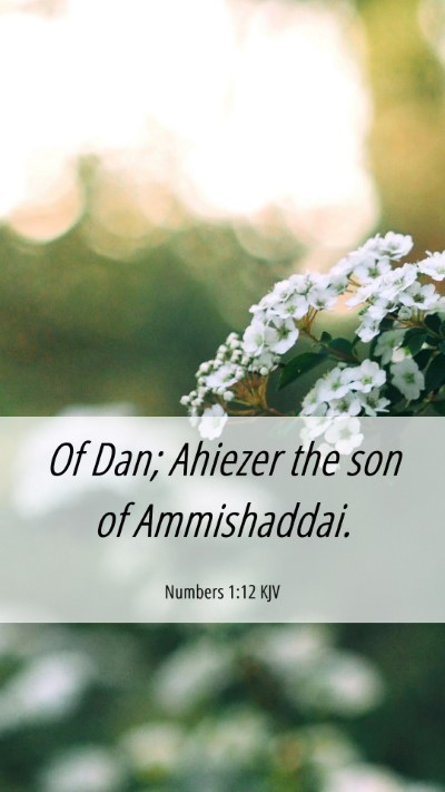 Picture 06 - Numbers 1:12 KJV Mobile Phone Wallpaper - Of Dan; Ahiezer the son of - Mobile Bible Verse Wallpaper