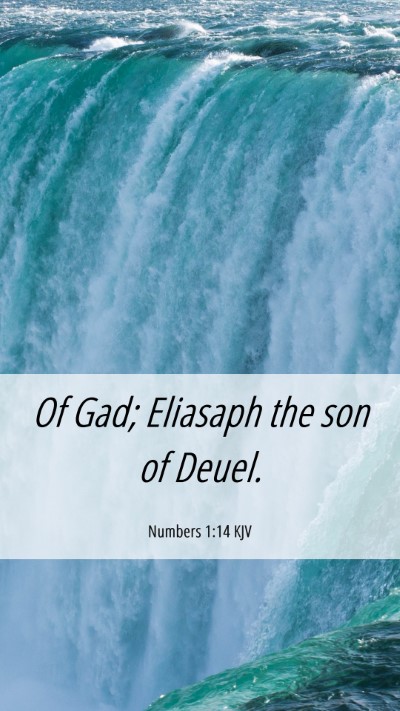 Picture 06 - Numbers 1:14 KJV Mobile Phone Wallpaper - Of Gad; Eliasaph the son of - Mobile Bible Verse Wallpaper