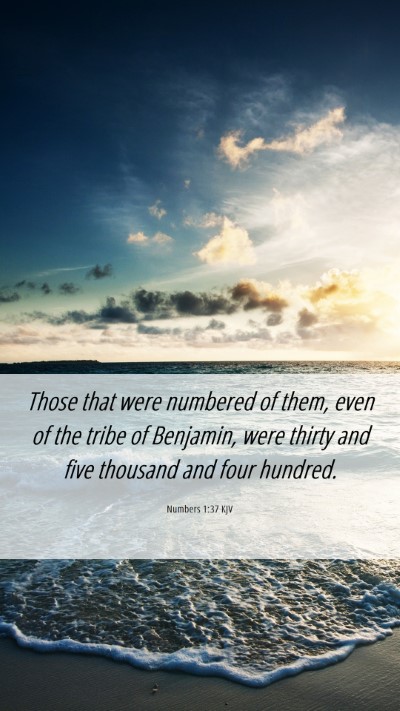 Picture 06 - Numbers 1:37 KJV Mobile Phone Wallpaper - Those that were numbered of them, even of the - Mobile Bible Verse Wallpaper