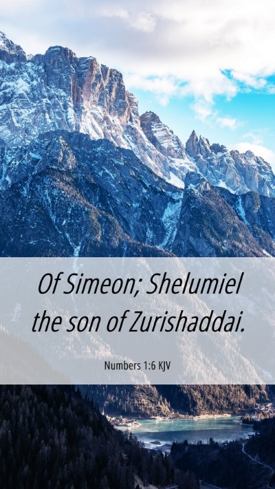 Picture 06 - Numbers 1:6 KJV Mobile Phone Wallpaper - Of Simeon; Shelumiel the son of - Mobile Bible Verse Wallpaper