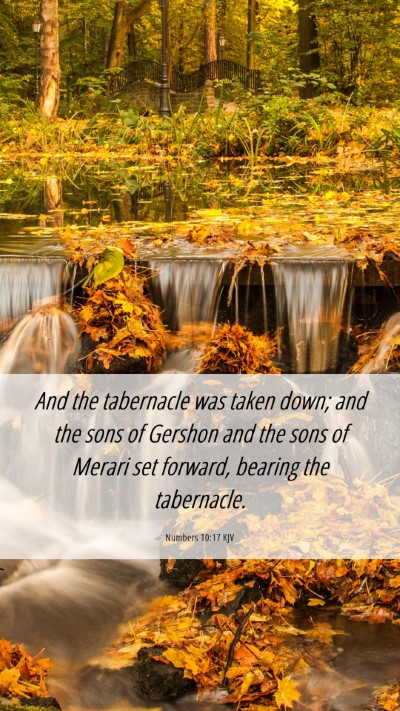 Picture 06 - Numbers 10:17 KJV Mobile Phone Wallpaper - And the tabernacle was taken down; and the sons - Mobile Bible Verse Wallpaper