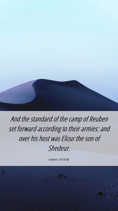Picture 06 - Numbers 10:18 KJV Mobile Phone Wallpaper - And the standard of the camp of Reuben set - Mobile Bible Verse Wallpaper