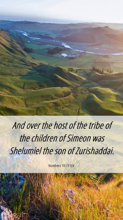 Picture 06 - Numbers 10:19 KJV Mobile Phone Wallpaper - And over the host of the tribe of the children of - Mobile Bible Verse Wallpaper