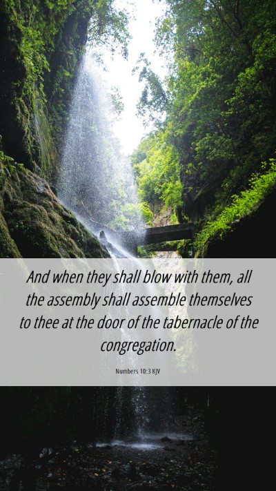 Picture 06 - Numbers 10:3 KJV Mobile Phone Wallpaper - And when they shall blow with them, all the - Mobile Bible Verse Wallpaper