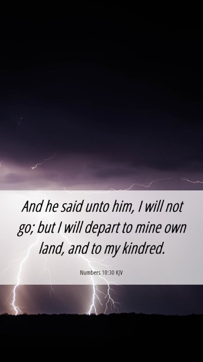 Picture 06 - Numbers 10:30 KJV Mobile Phone Wallpaper - And he said unto him, I will not go; but I will - Mobile Bible Verse Wallpaper
