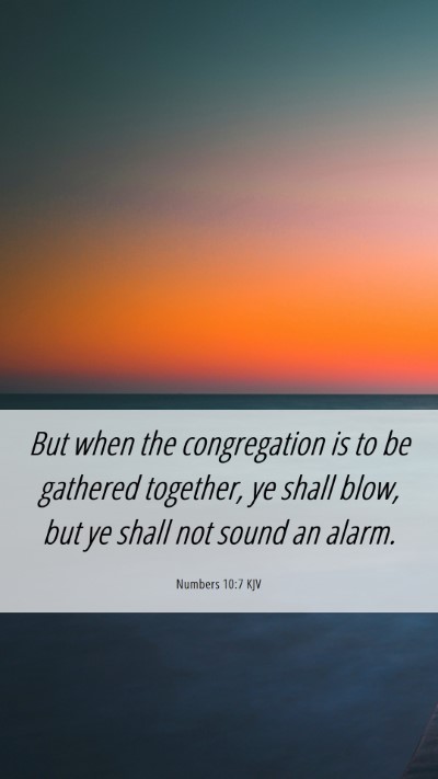 Picture 06 - Numbers 10:7 KJV Mobile Phone Wallpaper - But when the congregation is to be gathered - Mobile Bible Verse Wallpaper