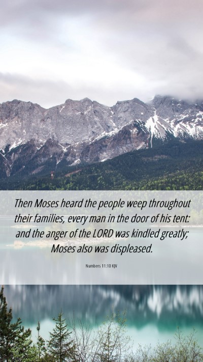 Picture 06 - Numbers 11:10 KJV Mobile Phone Wallpaper - Then Moses heard the people weep throughout their - Mobile Bible Verse Wallpaper