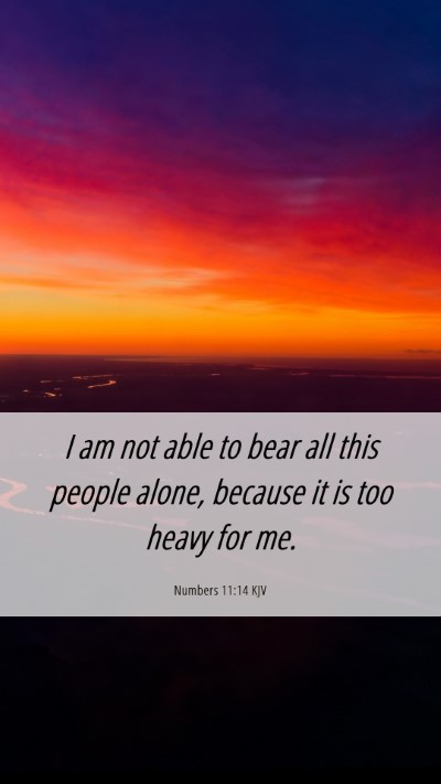 Picture 06 - Numbers 11:14 KJV Mobile Phone Wallpaper - I am not able to bear all this people alone, - Mobile Bible Verse Wallpaper