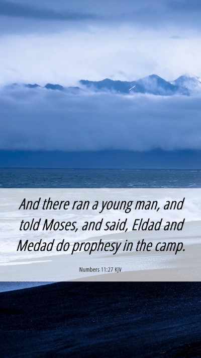 Picture 06 - Numbers 11:27 KJV Mobile Phone Wallpaper - And there ran a young man, and told Moses, and - Mobile Bible Verse Wallpaper