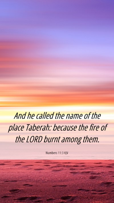 Picture 06 - Numbers 11:3 KJV Mobile Phone Wallpaper - And he called the name of the place Taberah: - Mobile Bible Verse Wallpaper
