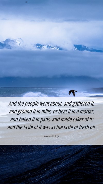 Picture 06 - Numbers 11:8 KJV Mobile Phone Wallpaper - And the people went about, and gathered it, and - Mobile Bible Verse Wallpaper