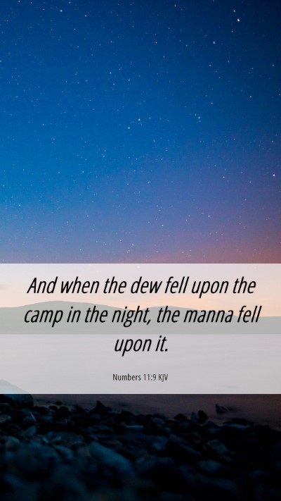 Picture 06 - Numbers 11:9 KJV Mobile Phone Wallpaper - And when the dew fell upon the camp in the night, - Mobile Bible Verse Wallpaper