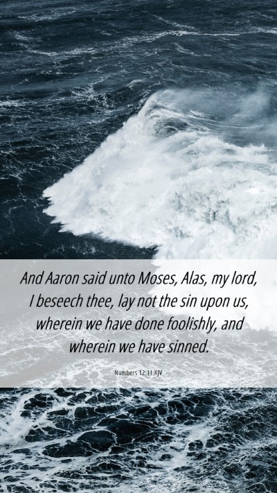 Picture 06 - Numbers 12:11 KJV Mobile Phone Wallpaper - And Aaron said unto Moses, Alas, my lord, I - Mobile Bible Verse Wallpaper