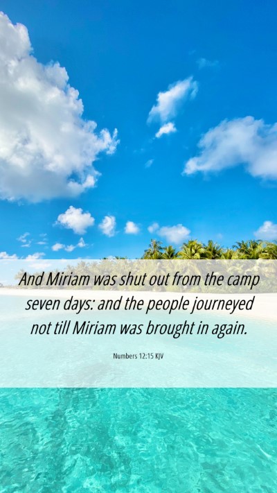 Picture 06 - Numbers 12:15 KJV Mobile Phone Wallpaper - And Miriam was shut out from the camp seven days: - Mobile Bible Verse Wallpaper
