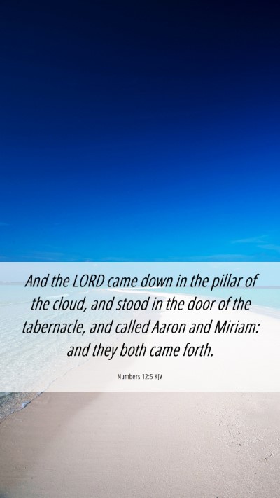Picture 06 - Numbers 12:5 KJV Mobile Phone Wallpaper - And the LORD came down in the pillar of the - Mobile Bible Verse Wallpaper