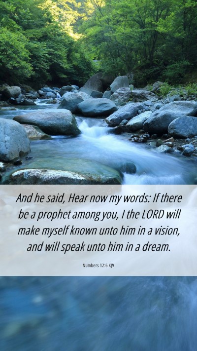 Picture 06 - Numbers 12:6 KJV Mobile Phone Wallpaper - And he said, Hear now my words: If there be a - Mobile Bible Verse Wallpaper