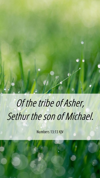 Picture 06 - Numbers 13:13 KJV Mobile Phone Wallpaper - Of the tribe of Asher, Sethur the son of - Mobile Bible Verse Wallpaper