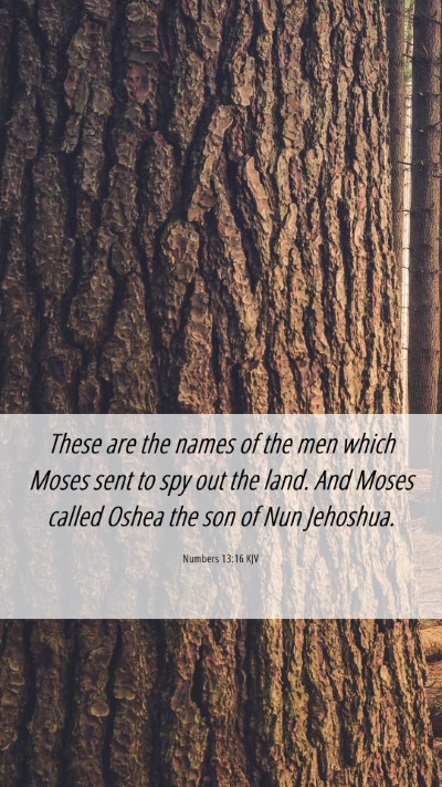 Picture 06 - Numbers 13:16 KJV Mobile Phone Wallpaper - These are the names of the men which Moses sent - Mobile Bible Verse Wallpaper