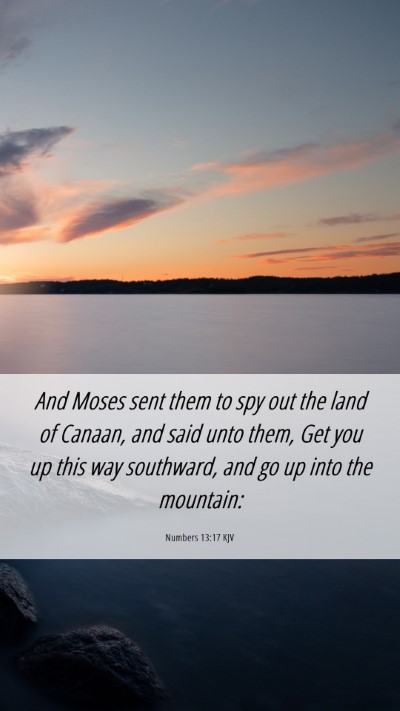 Picture 06 - Numbers 13:17 KJV Mobile Phone Wallpaper - And Moses sent them to spy out the land of - Mobile Bible Verse Wallpaper